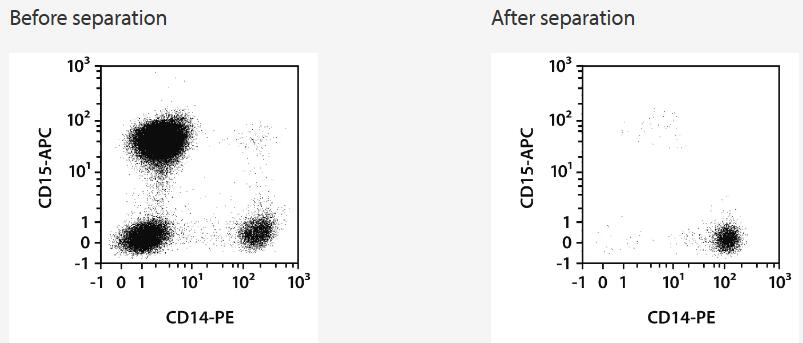Separation of a whole blood sample using the StraightFrom Whole Blood CD14 MicroBeads and the MultiMACS Cell24 Separator Plus with the Single-Column Adapter and Whole Blood Columns without washing step after labeling. Cells were fluorescently stained with CD15-APC, CD14‑PE, as well as CD45-VioBlue and analyzed by flow cytometry using the MACSQuant Analyzer. Cells were triggered via CD45-VioBlue, cell debris and dead cells were excluded from the analysis based on scatter signals and propidium iodide fluorescence.